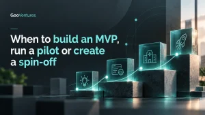 Journey from healthcare MVP to pilot and spin-off